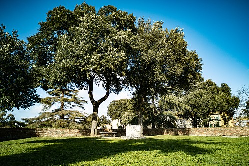 Nome del file=Confini_-_Verde_Centro_Storico_-_23.jpg
Dimensione del file=1239KiB
Dimensioni=2200x1467
Aggiunta il=06 Feb 2024 Confini_-_Verde_Centro_Storico_-_23.jpg