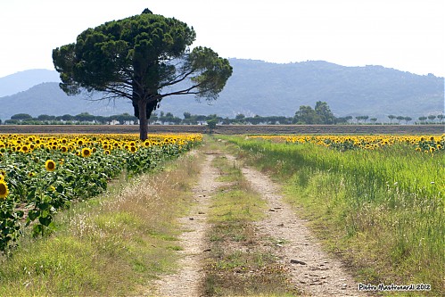 Nome del file=Land_02.jpg
Dimensione del file=415KiB
Dimensioni=2200x1467
Aggiunta il=18 Lug 2012 Land_02.jpg