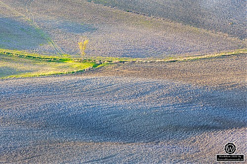 Nome del file=_MG_3556-HDR.jpg
Dimensione del file=3455KiB
Dimensioni=3000x2000
Aggiunta il=21 Nov 2023 _MG_3556-HDR.jpg